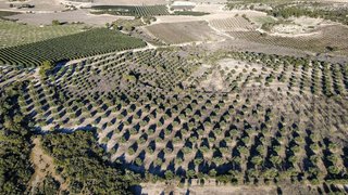 Terreno en venta en Borges Blanques, Les