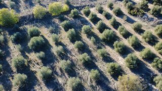 Terreno en venta en Borges Blanques, Les