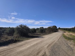 Terreno en venta en Borges Blanques, Les