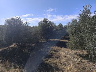 Terreno en venta en Borges Blanques, Les