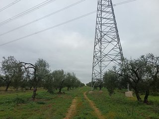 Terreno en venta en Bollullos de la Mitación