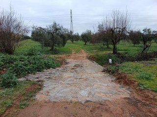 Terreno en venta en Bollullos de la Mitación