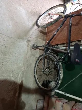 Bicicleta de Montaña Antigua
