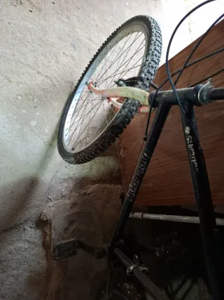 Bicicleta de Montaña Antigua