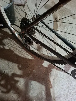 Bicicleta de Montaña Antigua