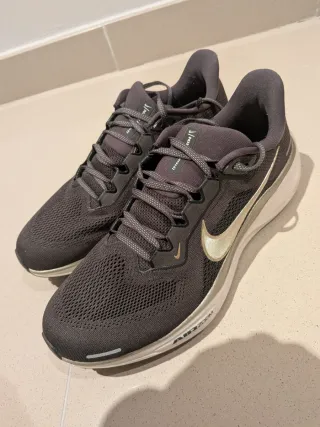 Nike Pegasus 41 Jakob Ingebritsen Oro/Gris