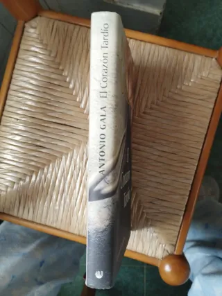 EL CORAZON TARDIO
