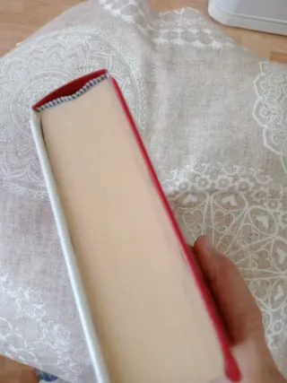 El obsceno pájaro de la noche