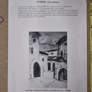 Quadro Vivaldelli Paesaggio Trentino Originale
