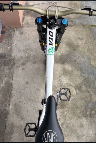 Santa Cruz V10cc Talla L