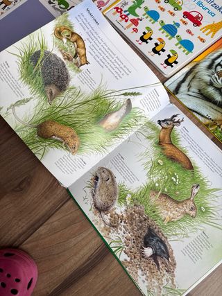 Galzorian dauden animalien atlasa