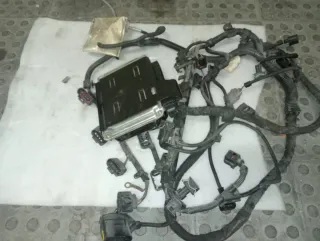 Cableado Motor 1.8T con Centralita