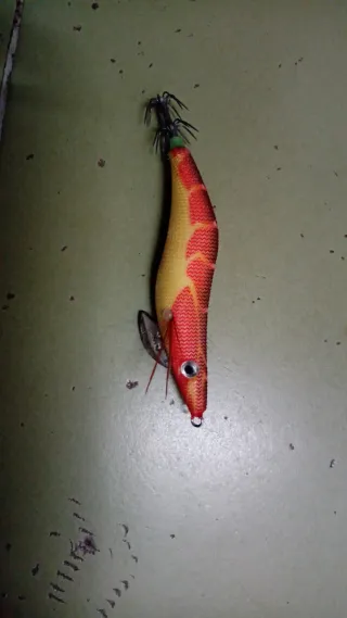 Pajaritos de pesca de calamares