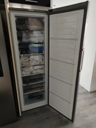 Falta de gas. Congelador Beko RFNE312K21X