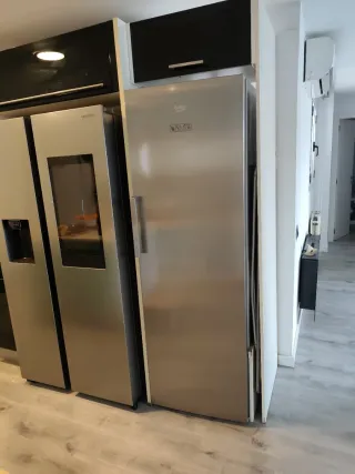 Falta de gas. Congelador Beko RFNE312K21X