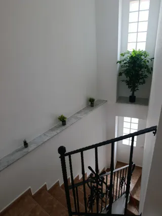 Alquiler casa en pinoso