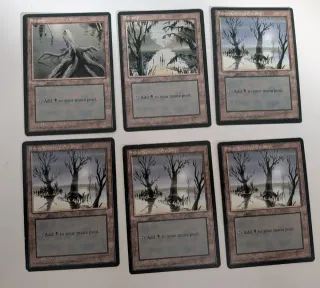 Lote Cartas Magic The Gathering Tierras