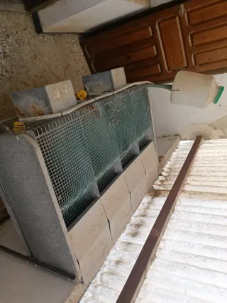 Pelechero para perdices