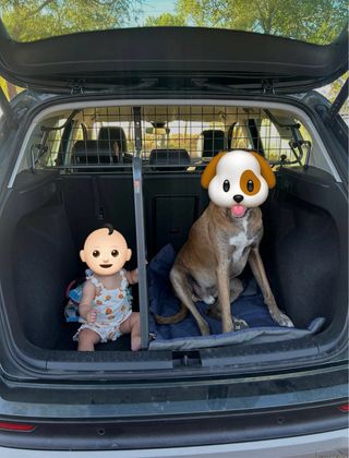 Reja separadora perros Seat Ateca