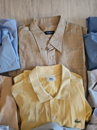 Lote 12 Camisas Hombre + 1 Polo Lacoste