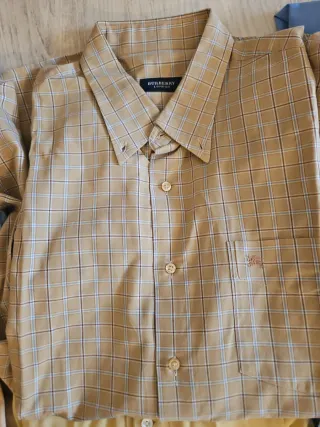 Lote 12 Camisas Hombre + 1 Polo Lacoste