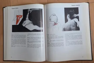 Libro Musculos Pruebas y Funciones