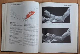 Libro Musculos Pruebas y Funciones