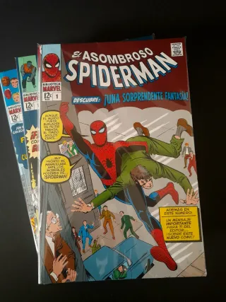 LOTE BIBLIOTECA MARVEL-SPIDERMAN-FANTASTICOS-HULK