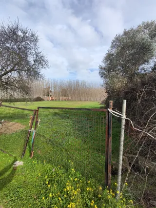 Parcela rustica en Talavera de la reina