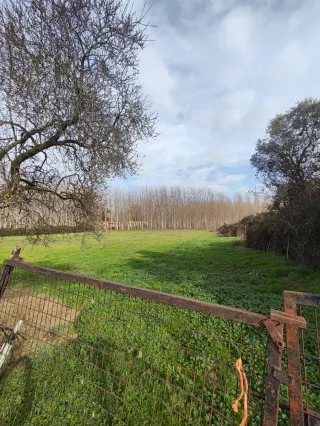 Parcela rustica en Talavera de la reina