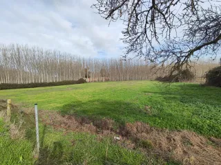 Parcela rustica en Talavera de la reina