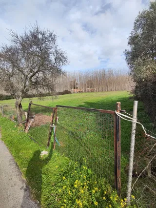 Parcela rustica en Talavera de la reina