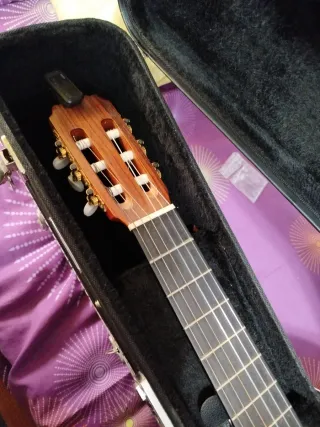 Guitarra Alhambra P4 Made in Spain+funda rígida