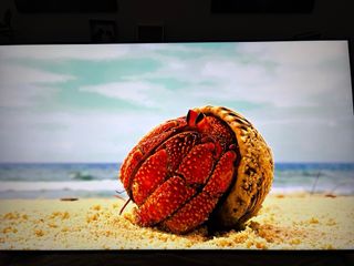 TV Samsung QLED 75 UHD 4K SAMSUNG QE75Q70D