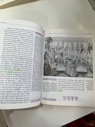 TIRANT LO BLANC (Spanish Edition)