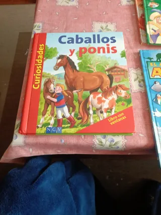 Chistes, acertijos, adivinanzas (Spanish Edition)