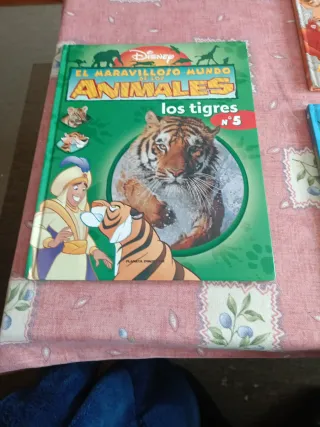 Chistes, acertijos, adivinanzas (Spanish Edition)