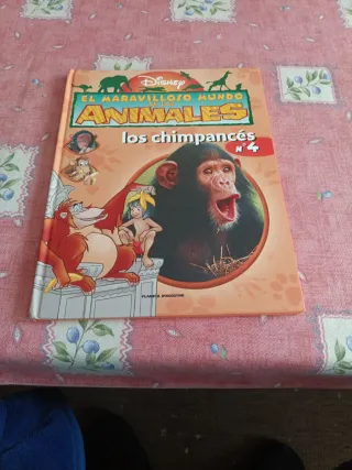 Chistes, acertijos, adivinanzas (Spanish Edition)