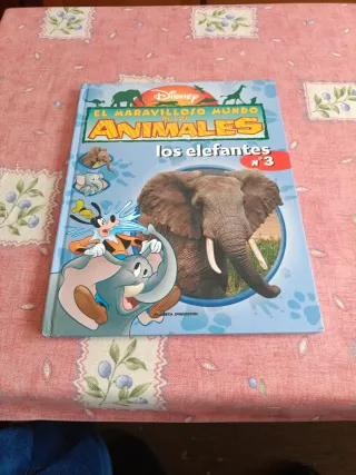 Chistes, acertijos, adivinanzas (Spanish Edition)