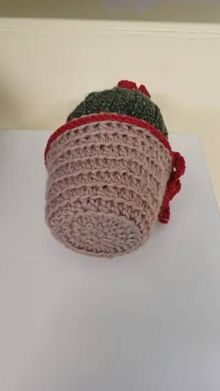 Cactus uncinetto fatto a mano