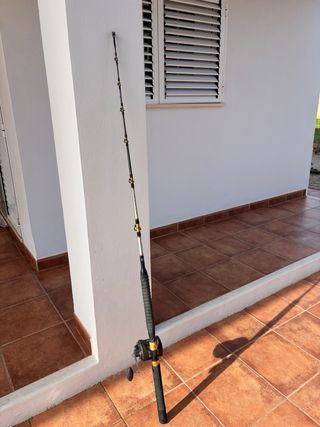 Caña de Pescar Curricán 5'6 1.65m 30-50lbs