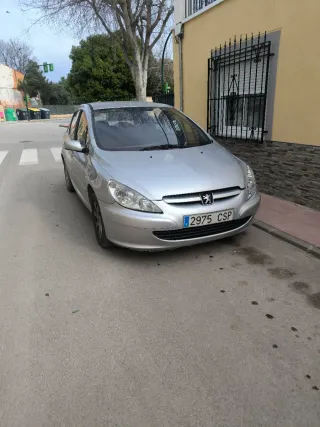 Peugeot 307 2004