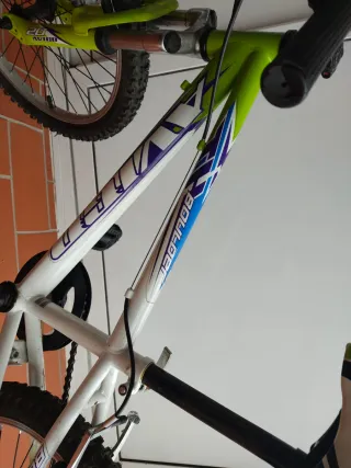 Bicicleta infantil