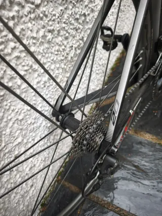 Scott Foil 20 con ruedas Campagnolo Shamal Ultra