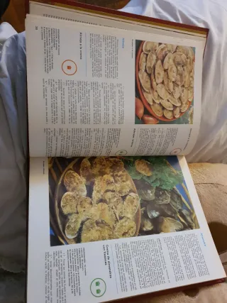 Enciclopedia de Cocina