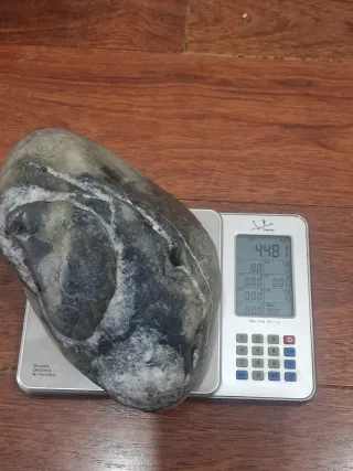 Roca grande para acuario