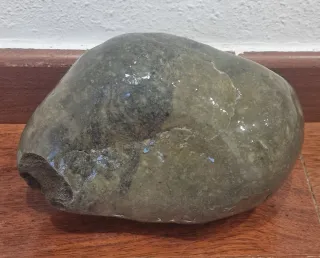 Roca grande para acuario