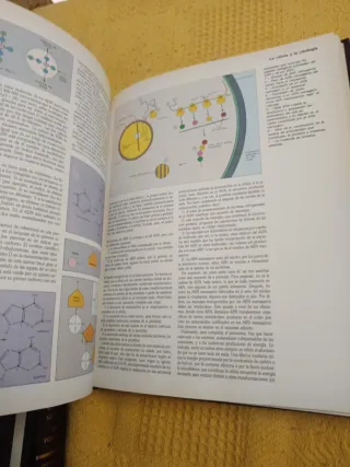 Enciclopedia temática Argos Vergara Biología