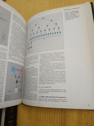 Enciclopedia temática Argos Vergara Biología