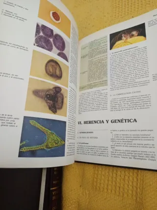 Enciclopedia temática Argos Vergara Biología